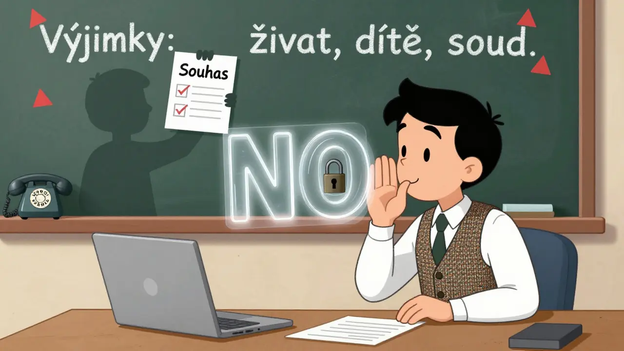 Terapeut konzultuje s kolegou, ale překážka &#039;NE&#039; brání sdílení informací.